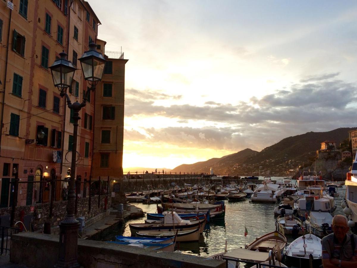 Sguardo Sul Porto Διαμέρισμα Camogli Εξωτερικό φωτογραφία