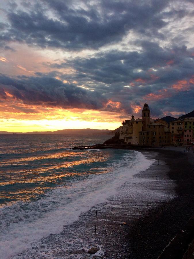 Sguardo Sul Porto Διαμέρισμα Camogli Εξωτερικό φωτογραφία
